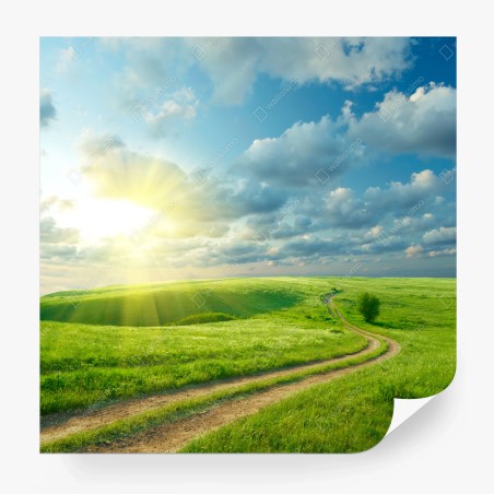 Fotomural camino entre praderas al amanecer – Pixers®