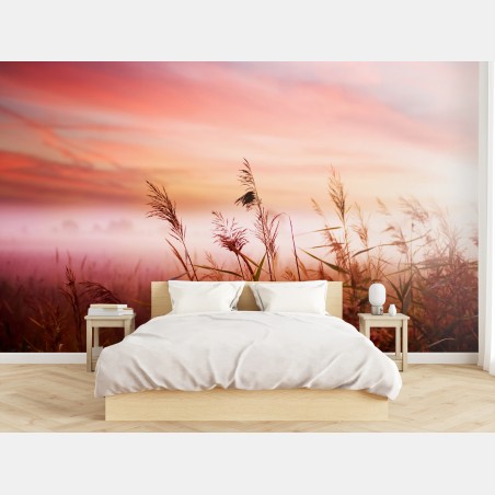 Fotomural atardecer entre juncos en tonos rosados – Pixers®