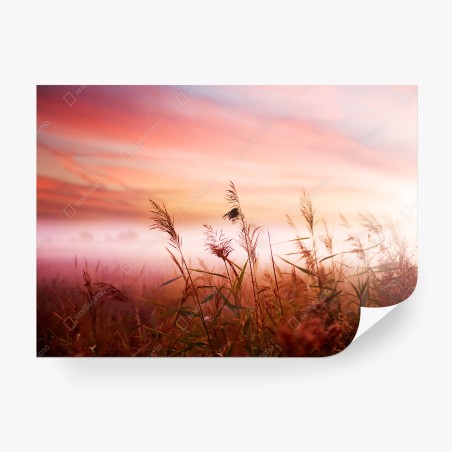 Fotomural atardecer entre juncos en tonos rosados – Pixers®