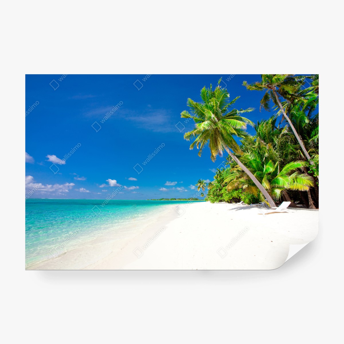 Fotomural escena tropical de playa con palmeras y mar turquesa – Pixers®