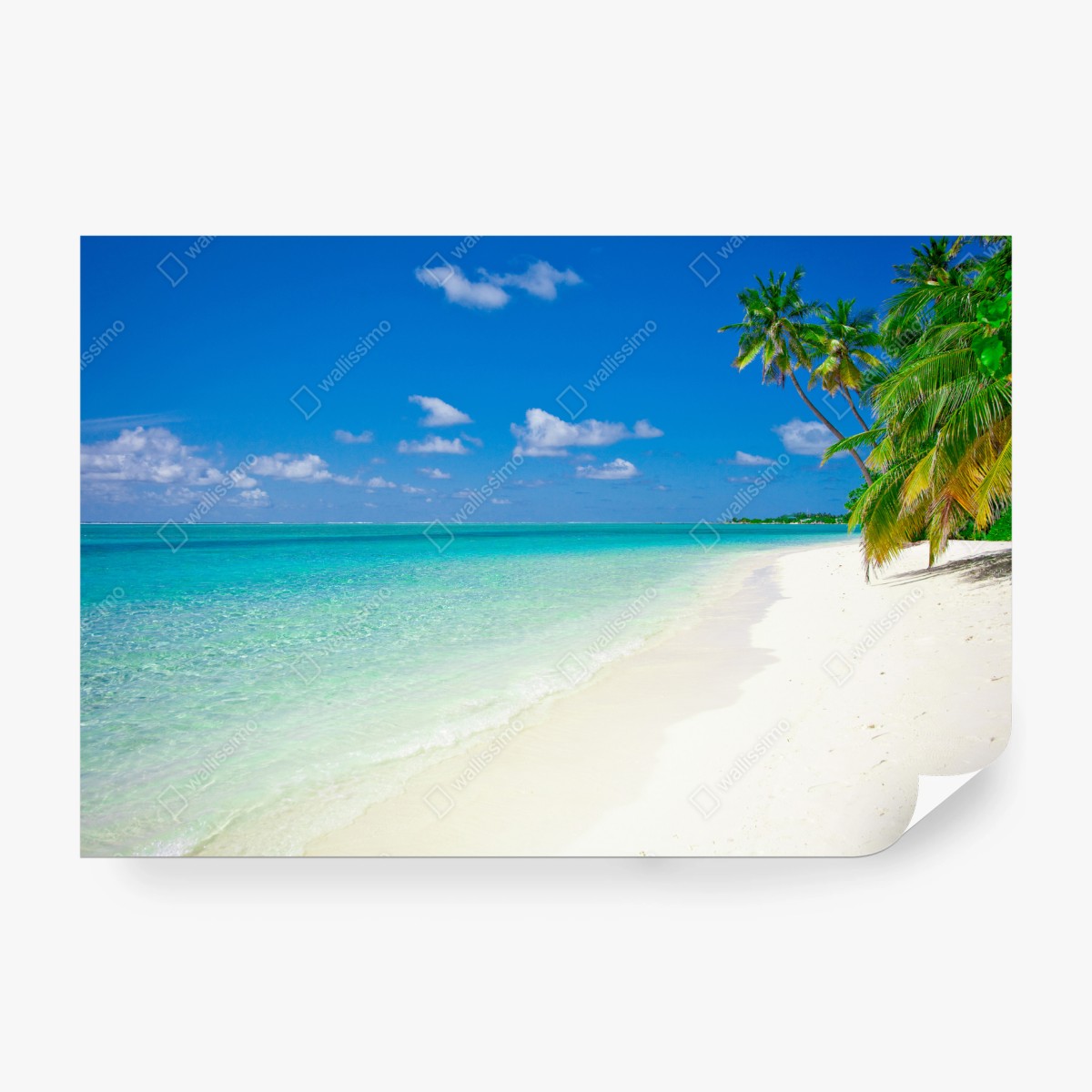 Fotomural playa tropical de arena blanca y palmeras – Pixers®
