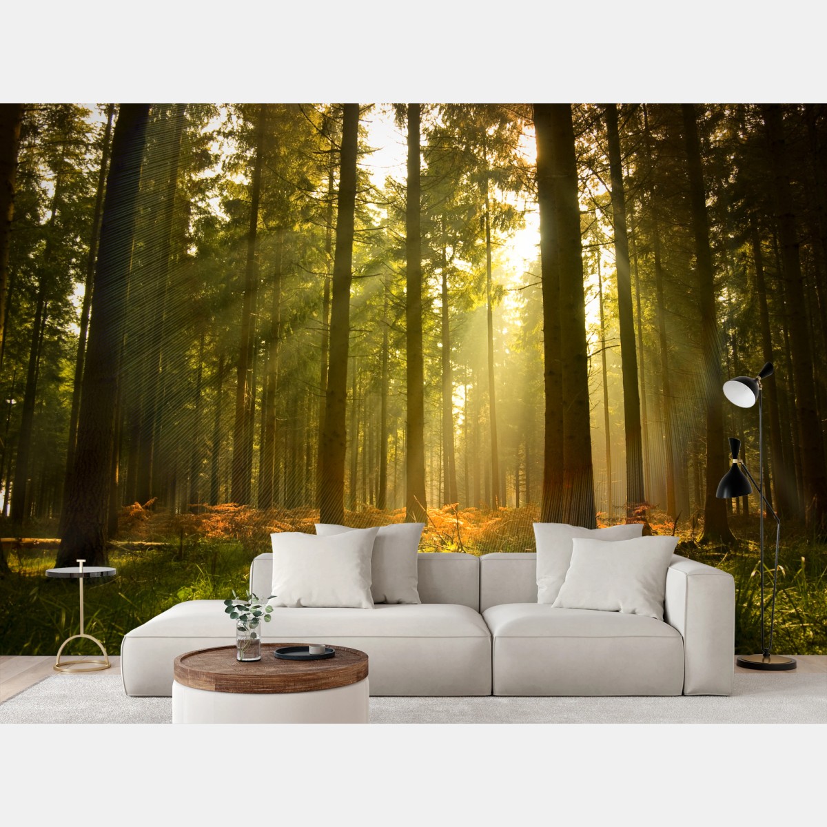 Fotomural bosque dorado al atardecer – Pixers®