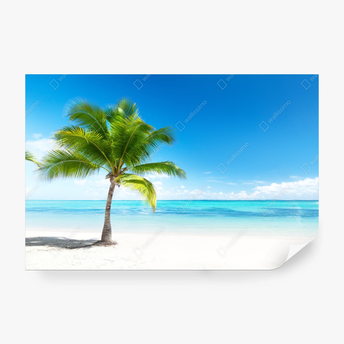 Fotomural paraíso tropical con palmera en la playa – Pixers®