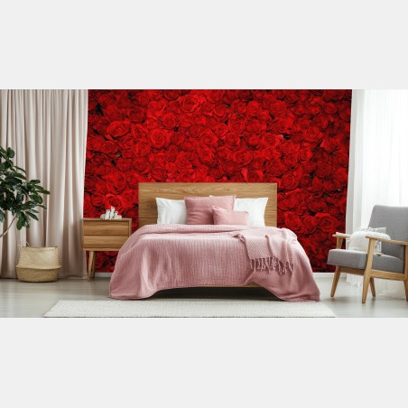 Fotomural mural de rosas rojas – Pixers®