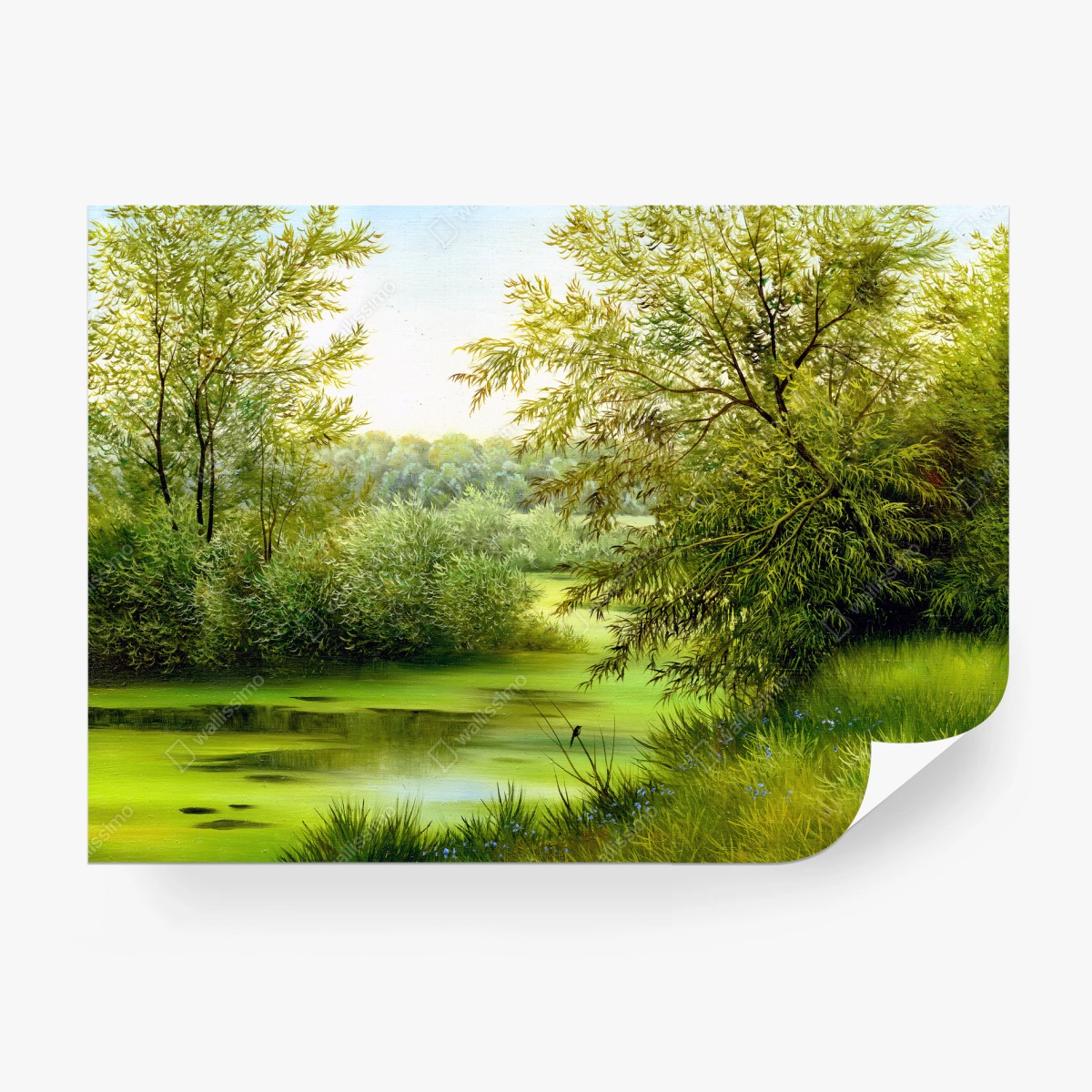 Fotomural tranquilidad junto al lago en verano – Pixers®