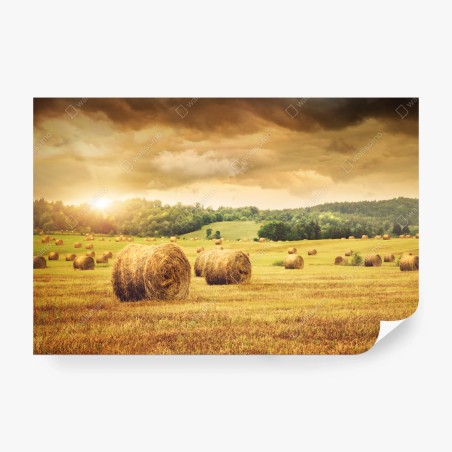 Fotomural atardecer dorado sobre el campo de pacas de heno – Pixers®