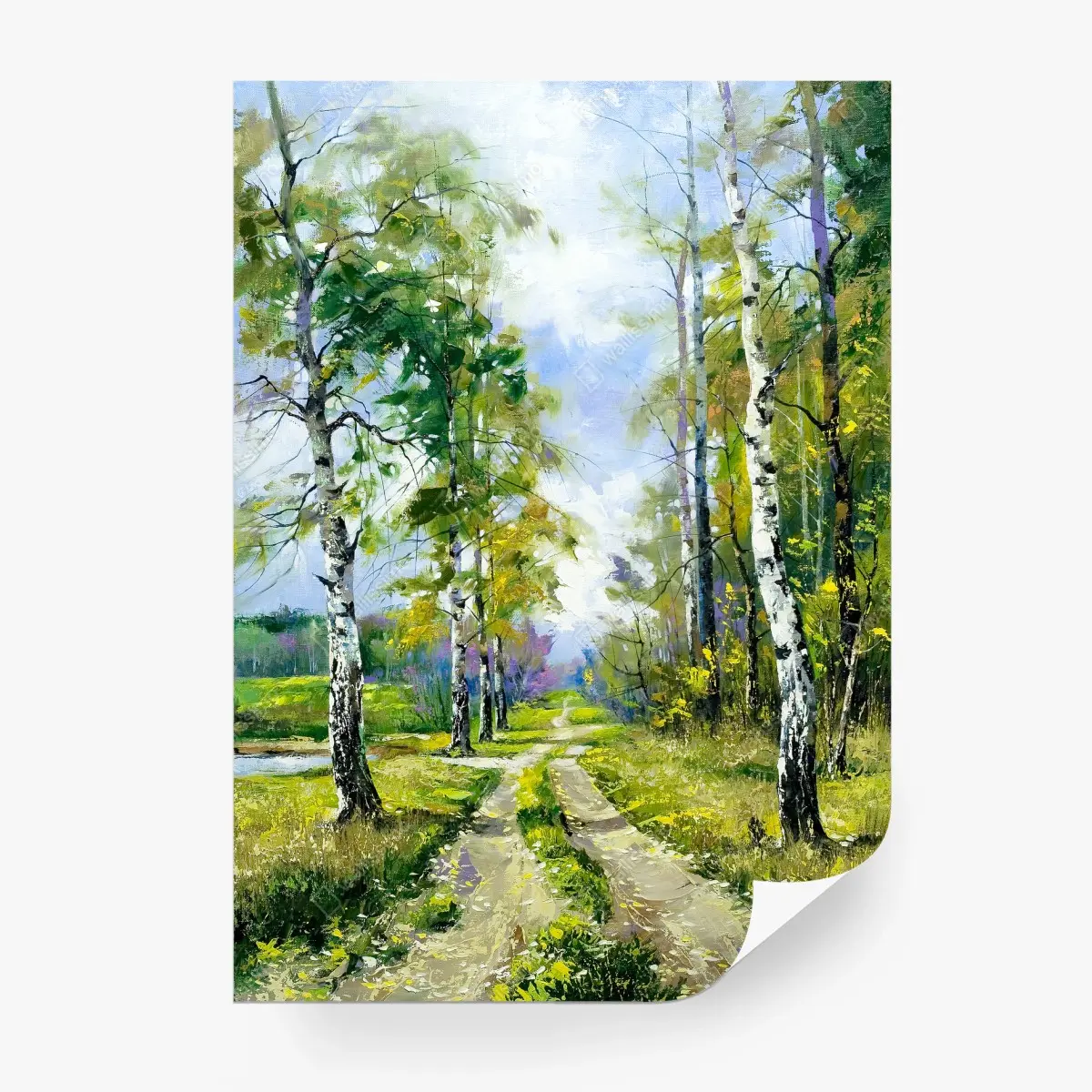 Fotomural camino entre abedules en primavera – Pixers®
