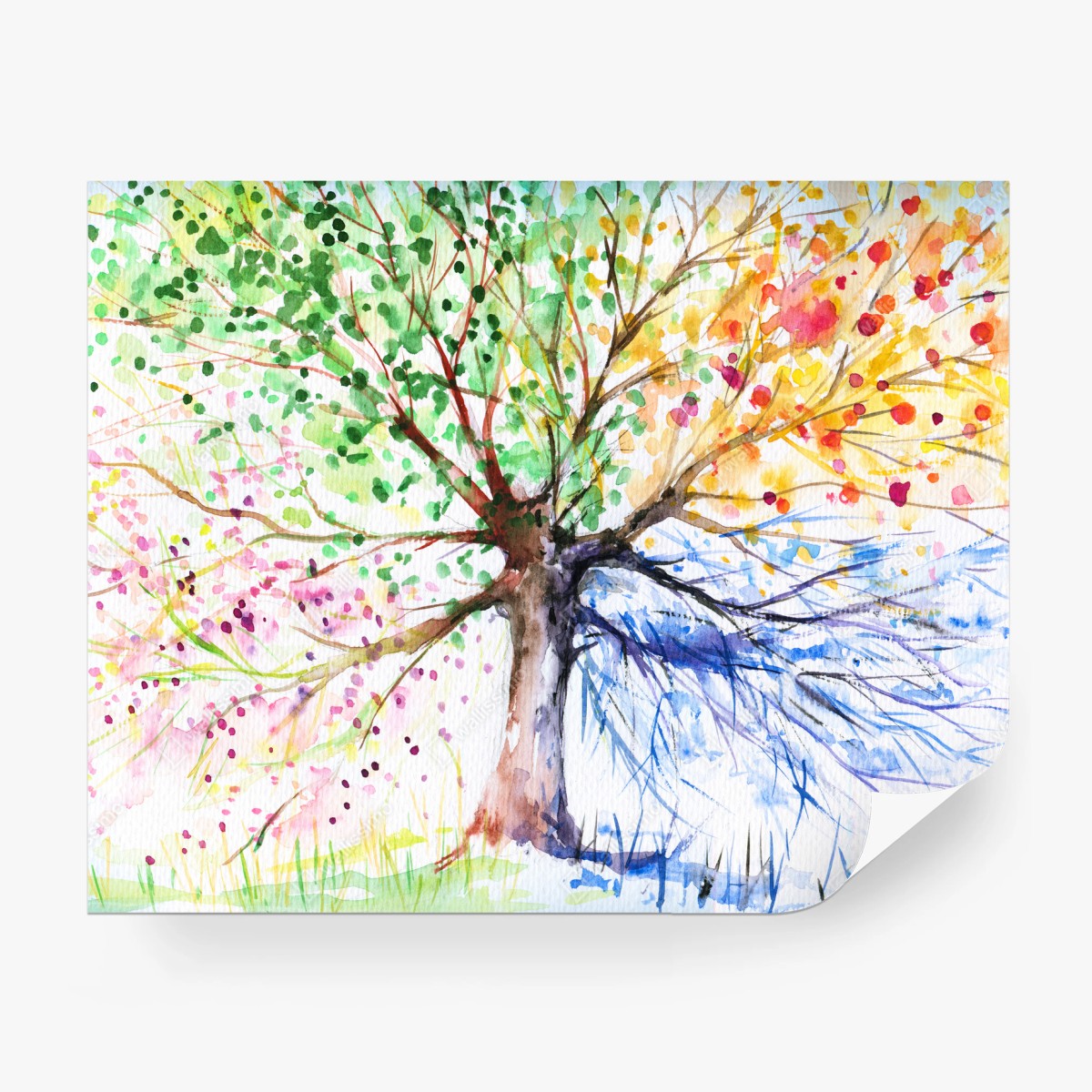 Fotomural árbol de las cuatro estaciones en acuarela – Pixers®
