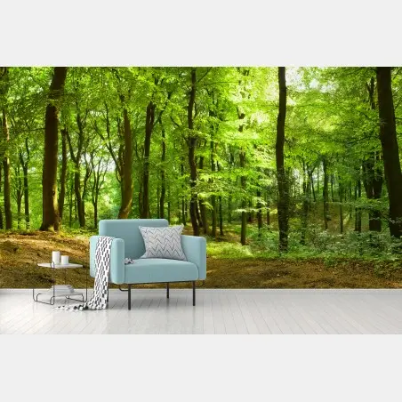 Fotomural sendero en bosque verde sereno – Pixers®