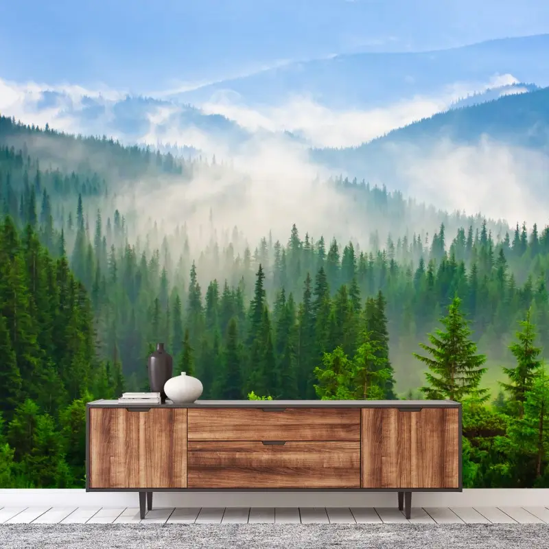 Fotomural amanecer en los bosques de Cárpatos