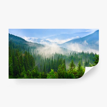 Fotomural amanecer en los bosques de Cárpatos – Pixers®