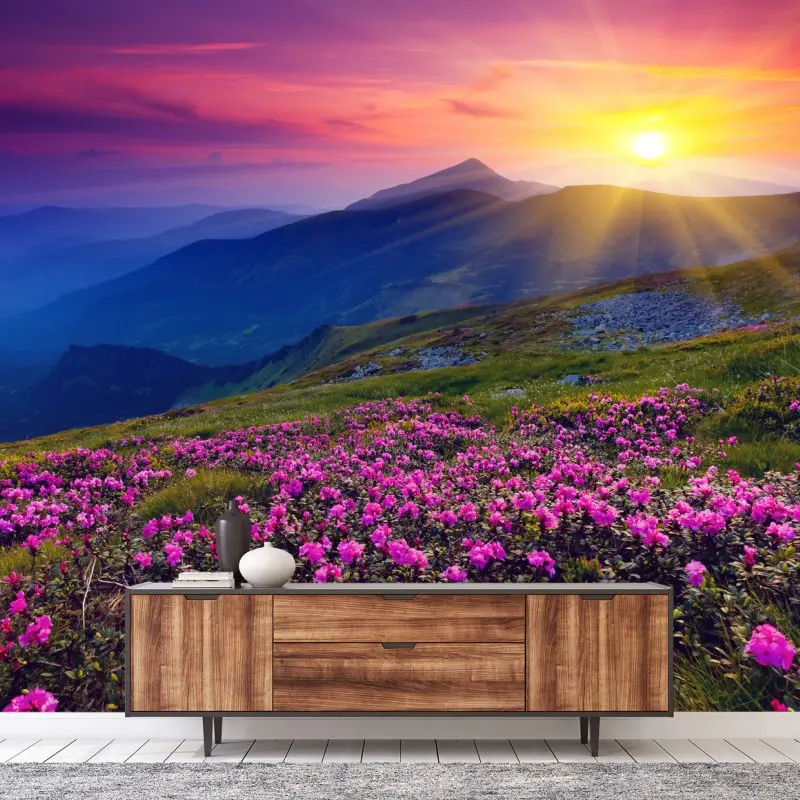 Fotomural amanecer sobre pradera de rododendros en flor