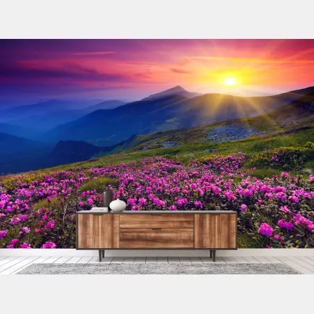 Fotomural amanecer sobre pradera de rododendros en flor – Pixers®