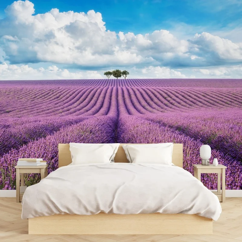Fotomural paisaje de lavanda y árbol solitario