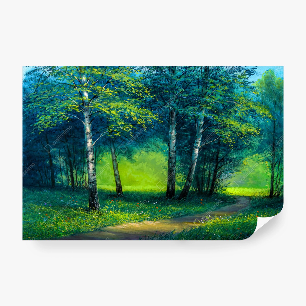 Fotomural sendero veraniego entre abedules – Pixers®