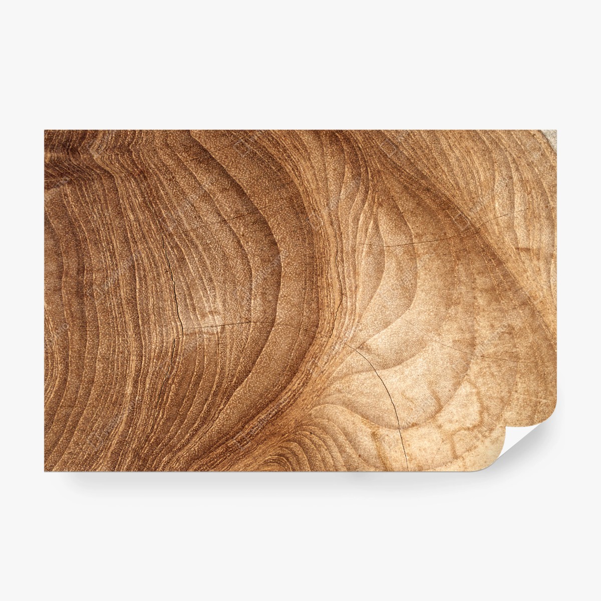 Fotomural textura rústica de madera con vetas naturales – Pixers®