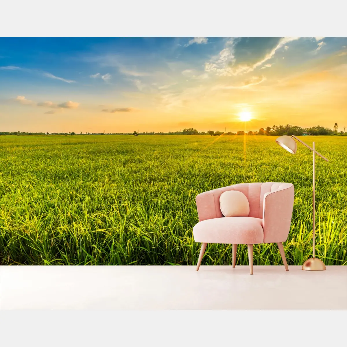 Fotomural campo de arroz al atardecer – Pixers®