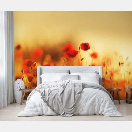 Fotomural campo de amapolas al atardecer – Pixers®