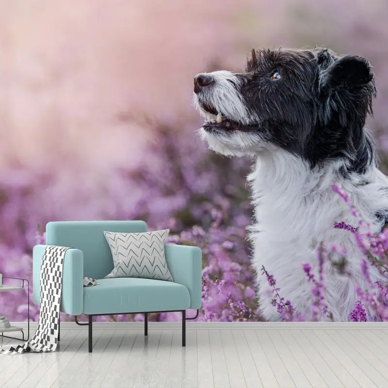 Fotomural perro entre flores moradas