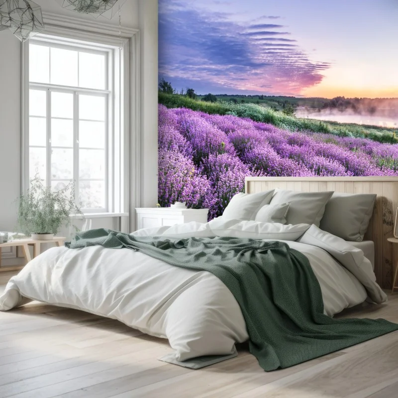Fotomural amanecer en campos de lavanda