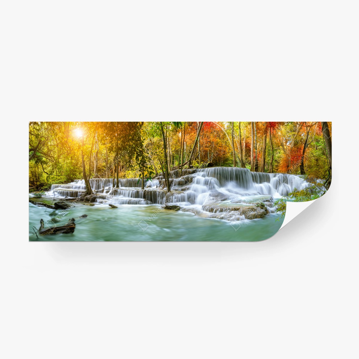 Fotomural cascada majestuosa en bosque otoñal – Pixers®