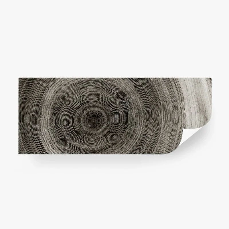 Fotomural anillos del tiempo: corte transversal de madera