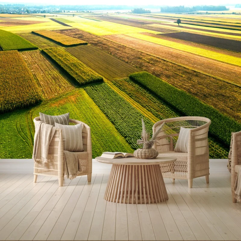 Fotomural vista aérea de campos coloridos – Pixers® Fotomural vista aérea de campos coloridos – Pixers®