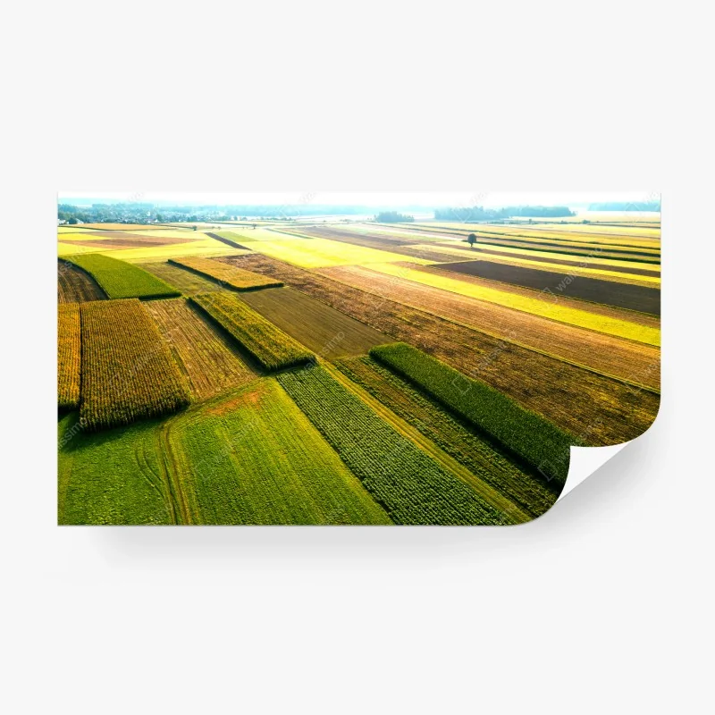 Fotomural vista aérea de campos coloridos – Pixers® Fotomural vista aérea de campos coloridos – Pixers®