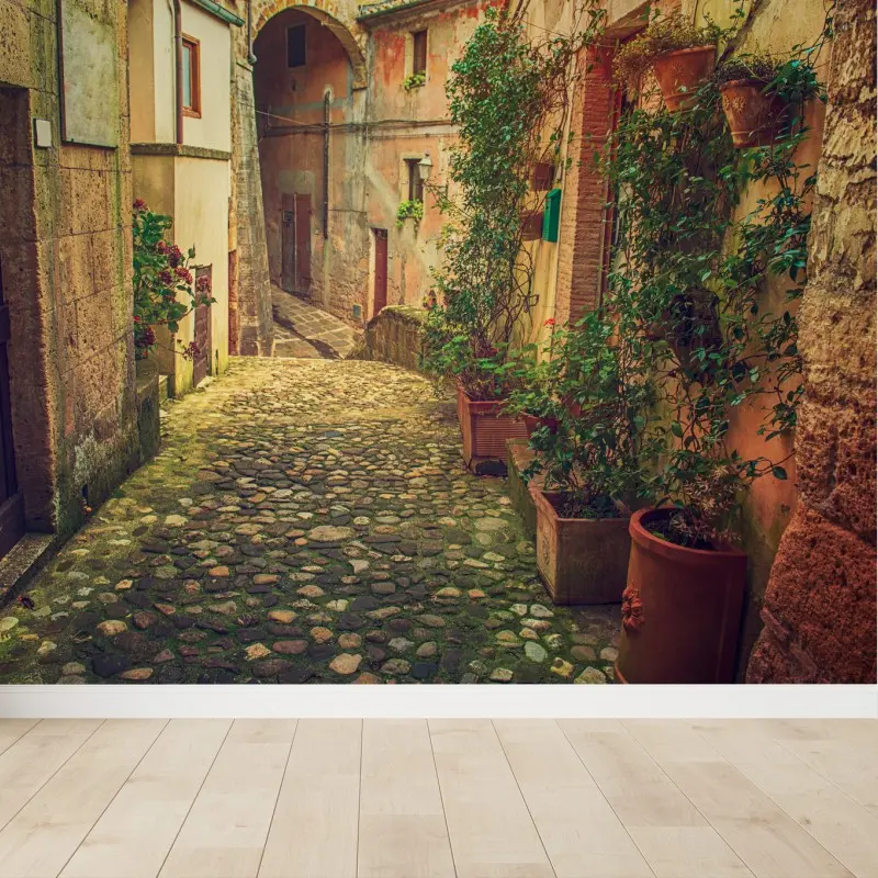Fotomural calle empedrada entre casas antiguas y macetas