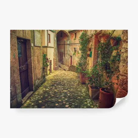 Fotomural calle empedrada entre casas antiguas y macetas – Pixers®