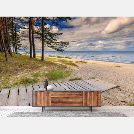 Fotomural sendero de madera hacia la playa entre pinos – Pixers®