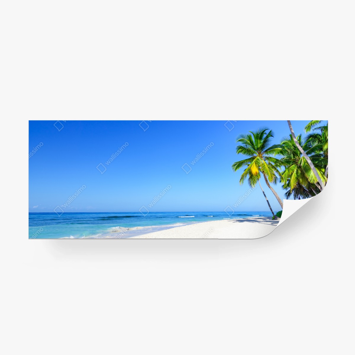 Fotomural paisaje de playa tropical con palmeras – Pixers®