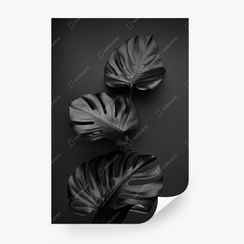 Fotomural hojas monstera negras sobre fondo oscuro – Pixers® Fotomural hojas monstera negras sobre fondo oscuro – Pixers®