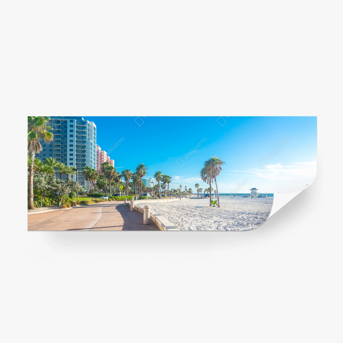 Fotomural paseo costero bajo el sol con palmeras – Pixers®