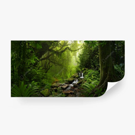 Fotomural bosque húmedo con cascada y sendero – Pixers®