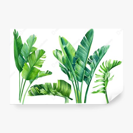 Fotomural hojas tropicales de banano en acuarela – Pixers®