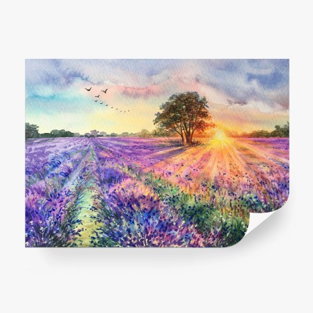 Fotomural amanecer en campos de lavanda – Pixers®