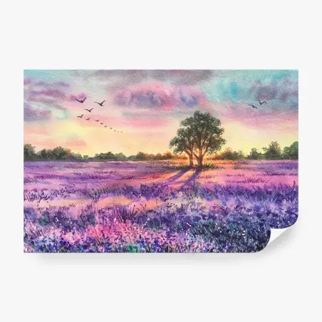 Fotomural puesta de sol sobre campo de lavanda – Pixers®