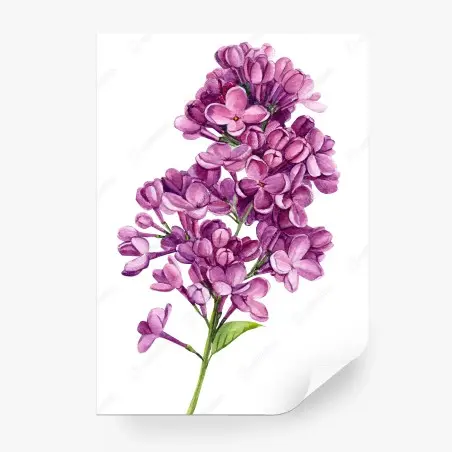 Fotomural ramillete de lilas en acuarela – Pixers®