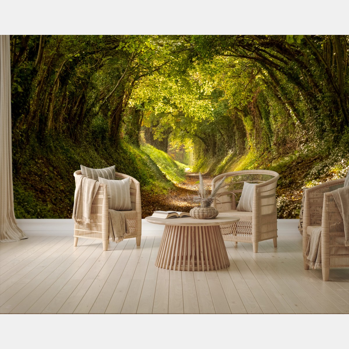 Fotomural túnel de árboles iluminado por el sol – Pixers® Fotomural túnel de árboles iluminado por el sol – Pixers®