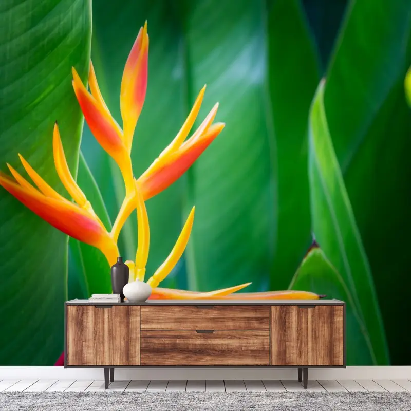 Fotomural explosión tropical: heliconia naranja sobre hojas verdes