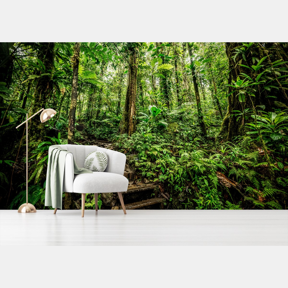 Fotomural sendero musgoso en la jungla de Basse-Terre, Guadeloupe – Pixers®