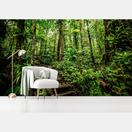 Fotomural sendero musgoso en la jungla de Basse-Terre, Guadeloupe – Pixers®