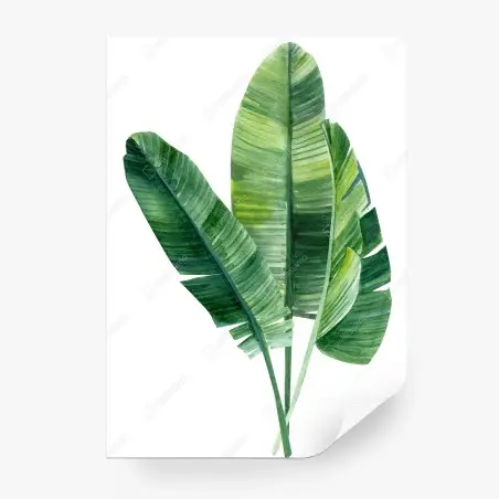 Fotomural hojas de banano en acuarela para decoración tropical – Pixers®