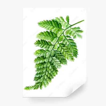 Fotomural helecho en acuarela para decoración natural – Pixers®