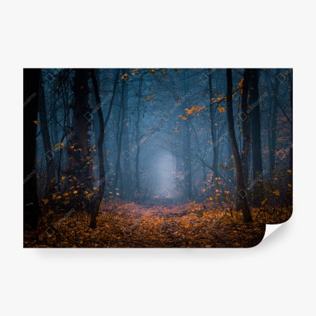 Fotomural sendero en bosque otoñal entre la niebla – Pixers®