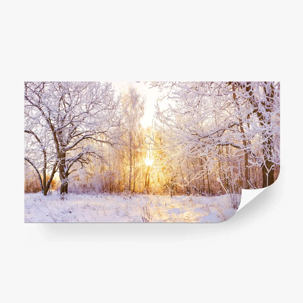 Fotomural atardecer dorado en bosque nevado – Pixers®