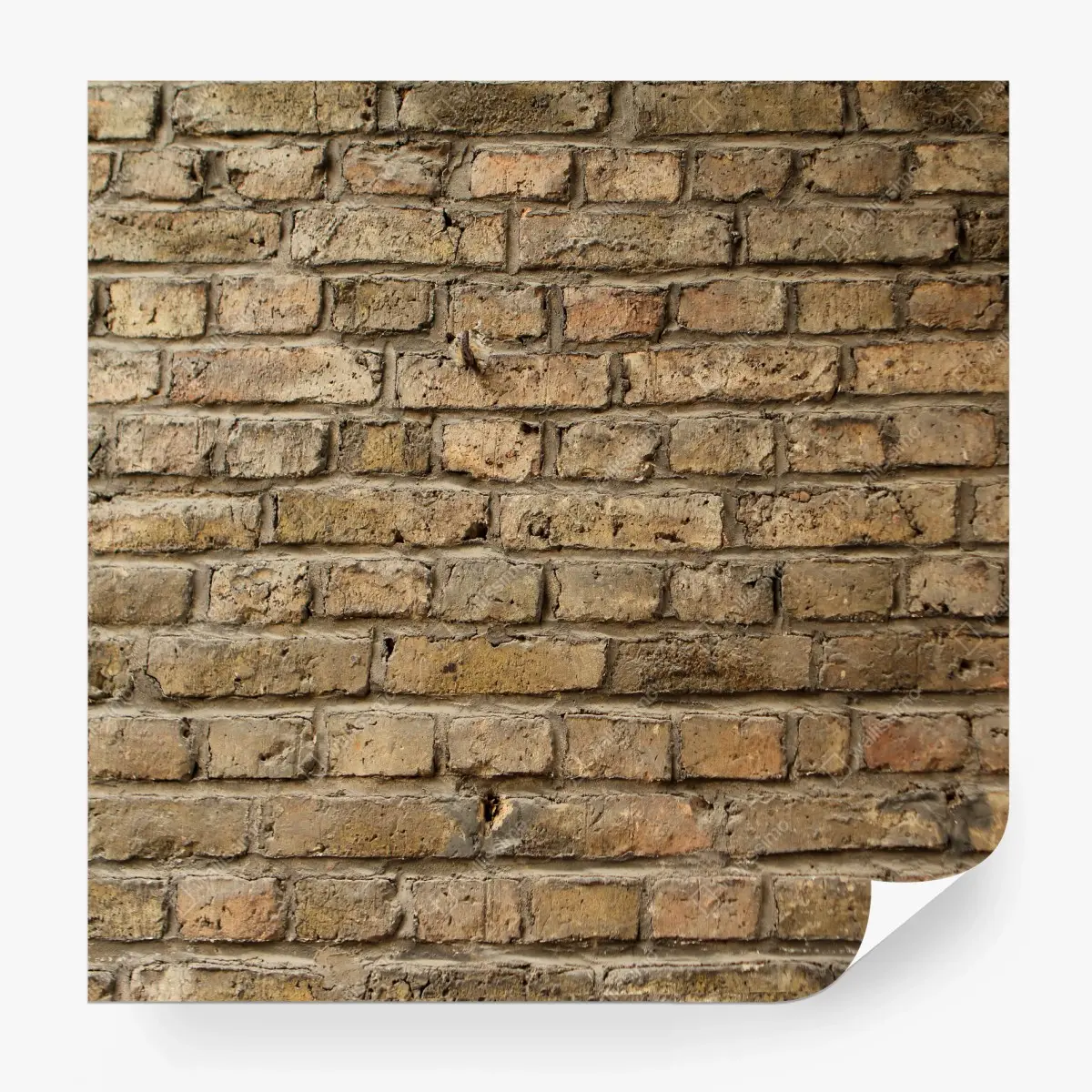 Fotomural textura de muro de ladrillo antiguo – Pixers®