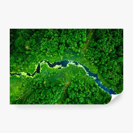 Fotomural río serpenteante en bosque verde – Pixers®
