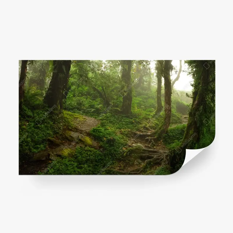 Fotomural sendero místico en bosque esmeralda
